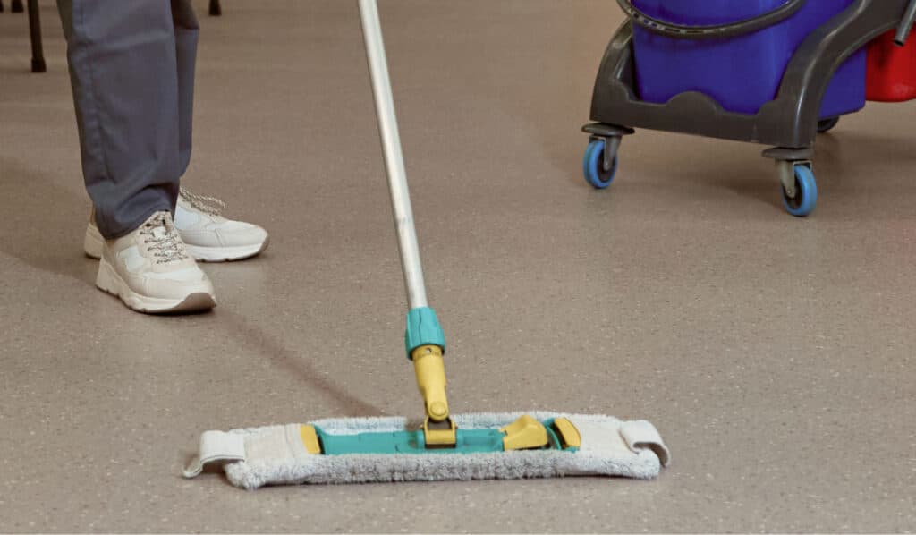 School, College & ECE Cleaning