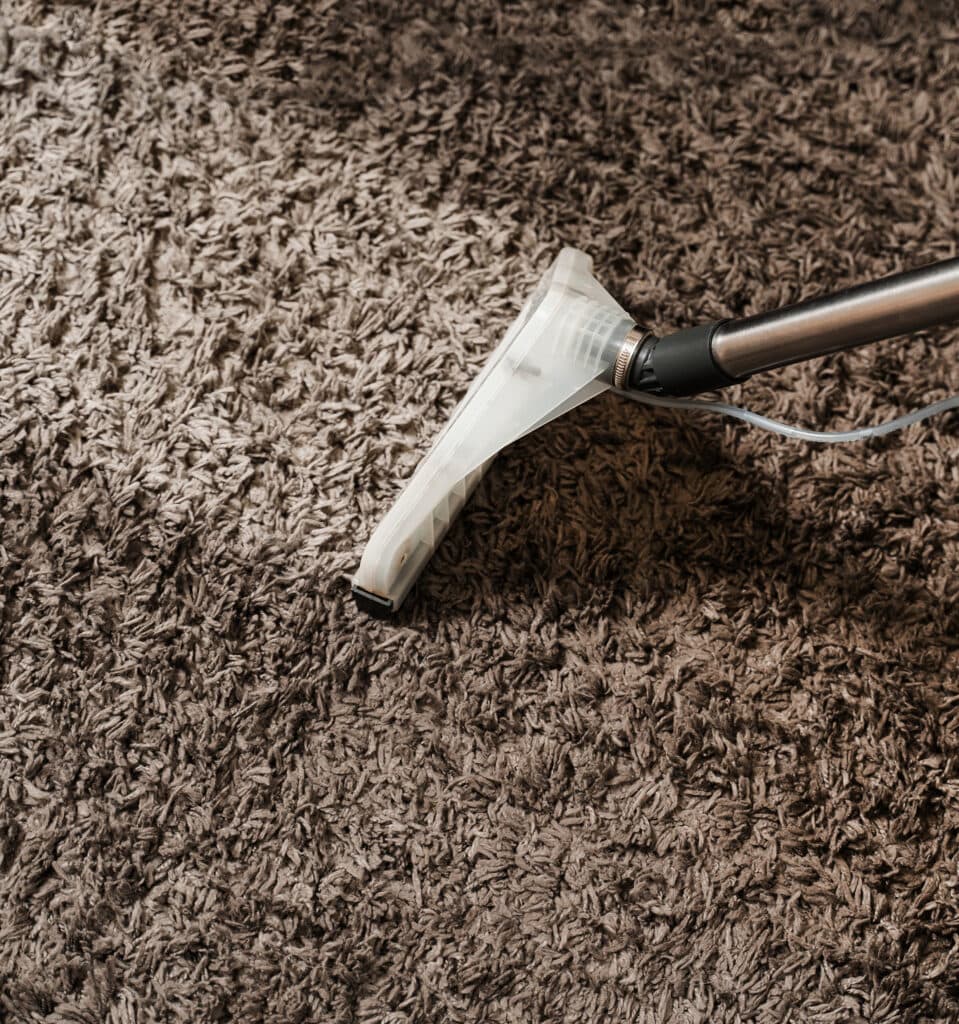 Carpet Cleaning